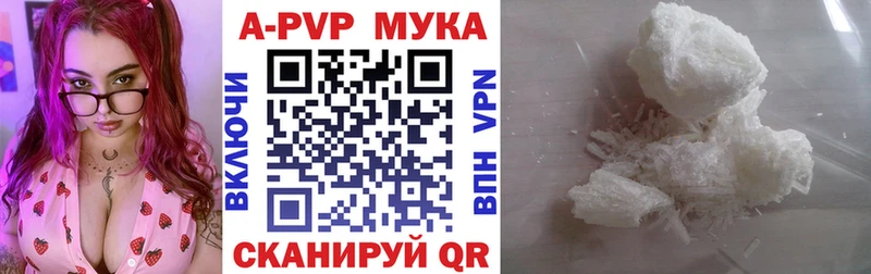 блэк спрут как войти Назрань А ПВП Crystall