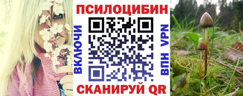 купить наркоту  Назрань  Галлюциногенные грибы Cubensis 